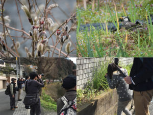 古い道をカメラと一緒に