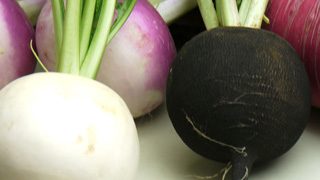Let’s start a small vegetable shop.